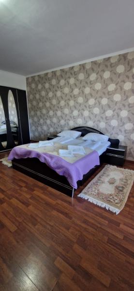 Pension CASA HOBAN from Sighetu Marmatiei, Maramureș picture 25