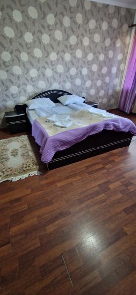 Pension CASA HOBAN from Sighetu Marmatiei, Maramureș picture 26