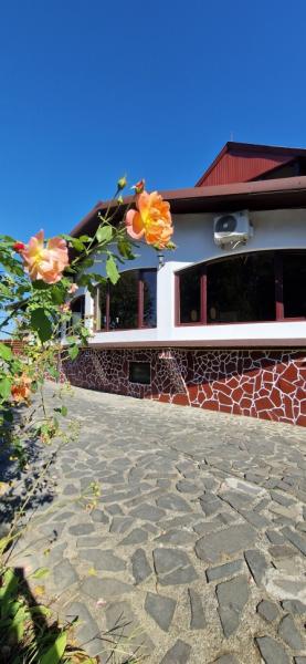 Pension CASA HOBAN from Sighetu Marmatiei, Maramureș picture 29