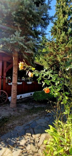 Pension CASA HOBAN from Sighetu Marmatiei, Maramureș picture 30