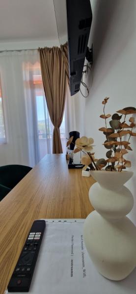 Pension ZESTREA MARAMURESULUI from Sapanta, Maramureș picture 19