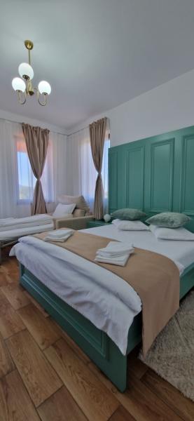 Pension ZESTREA MARAMURESULUI from Sapanta, Maramureș picture 24