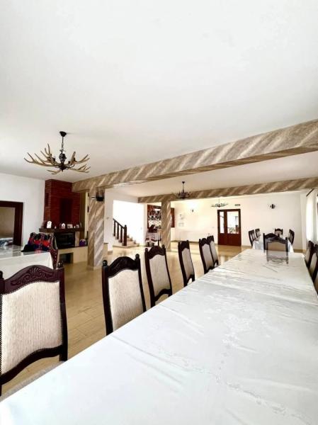 Mansion CONACUL LUPILOR from Sat Sugatag, Maramureș picture 13