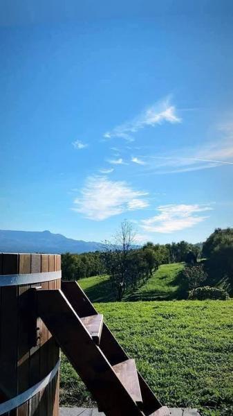 Mansion CONACUL LUPILOR from Sat Sugatag, Maramureș picture 25