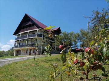 Mansion CONACUL LUPILOR from Sat Sugatag, Maramureș picture 26
