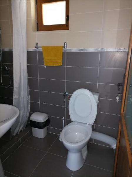 Mansion CONACUL LUPILOR from Sat Sugatag, Maramureș picture 4