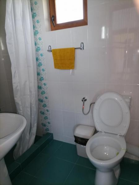 Mansion CONACUL LUPILOR from Sat Sugatag, Maramureș picture 5