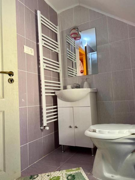 Pension FLOARE DE MARAMURES from Vadu Izei, Maramureș picture 12