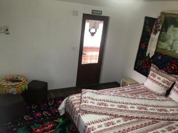 Pension FLOARE DE MARAMURES from Vadu Izei, Maramureș picture 15