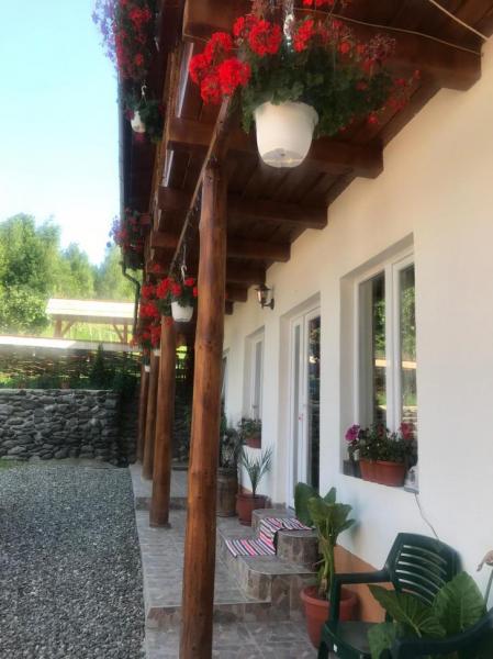 Pension FLOARE DE MARAMURES from Vadu Izei, Maramureș picture 17