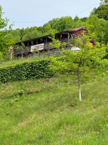 Pension FLOARE DE MARAMURES from Vadu Izei, Maramureș picture 8