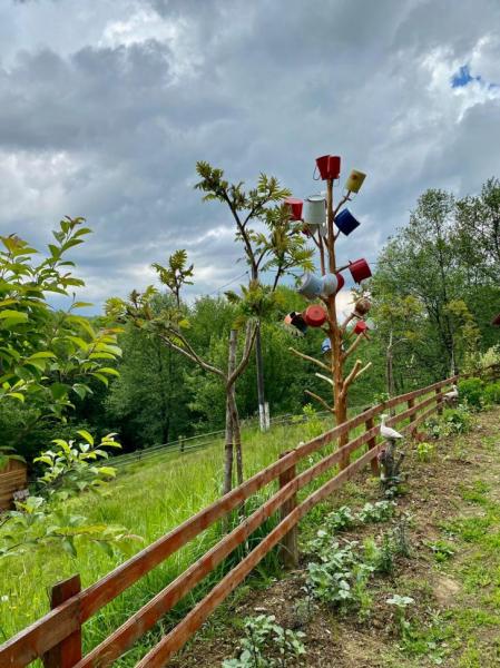 Pension FLOARE DE MARAMURES from Vadu Izei, Maramureș picture 9