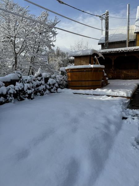 Pension CASA DIN VALE from Glod, Maramureș picture 12