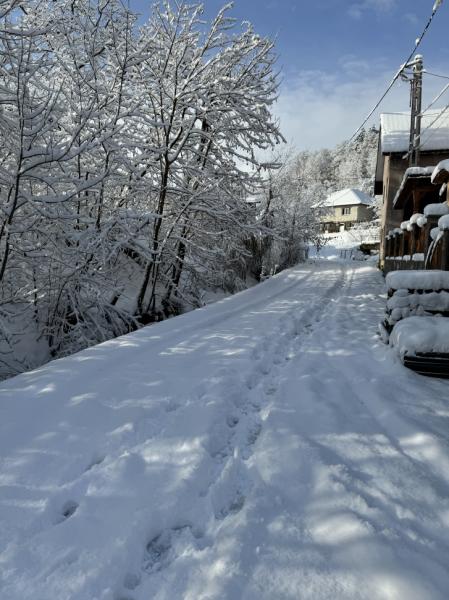 Pension CASA DIN VALE from Glod, Maramureș picture 2
