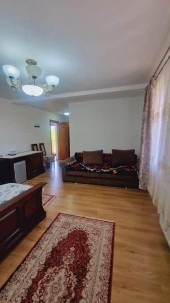 Pension CASA SUSANI from Oncesti, Maramureș picture 15