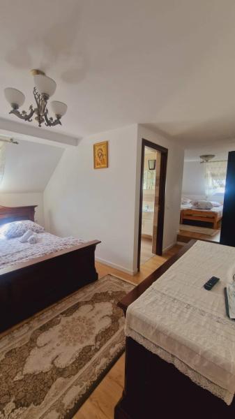 Pension CASA SUSANI from Oncesti, Maramureș picture 16