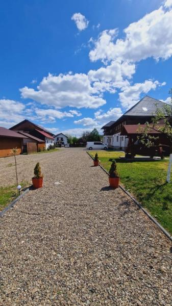 Pension CASA SUSANI from Oncesti, Maramureș picture 25