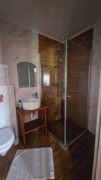 Pension CASA SUSANI from Oncesti, Maramureș picture 8
