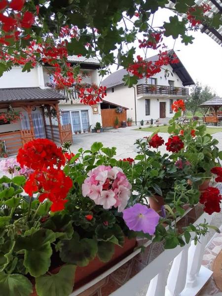 Pension IOANA ANGELICA from Vadu Izei, Maramureș picture 13
