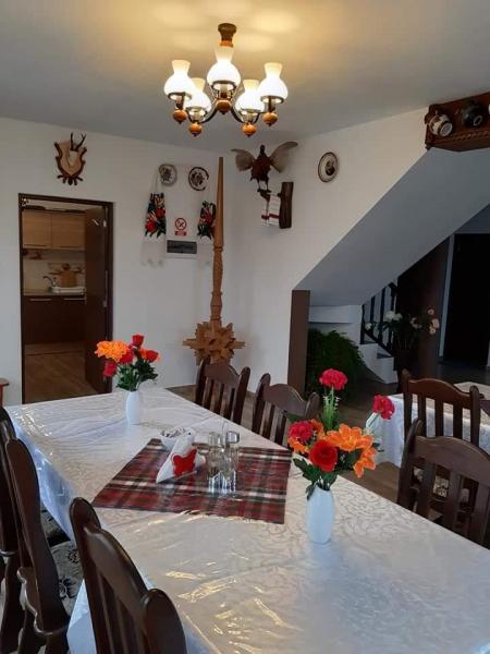 Pension IOANA ANGELICA from Vadu Izei, Maramureș picture 14