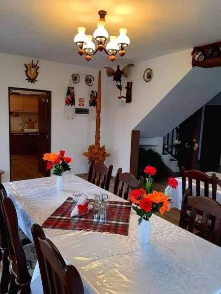 Pension IOANA ANGELICA from Vadu Izei, Maramureș picture 23