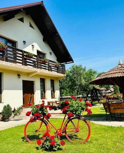 Pension IOANA ANGELICA from Vadu Izei, Maramureș picture 26