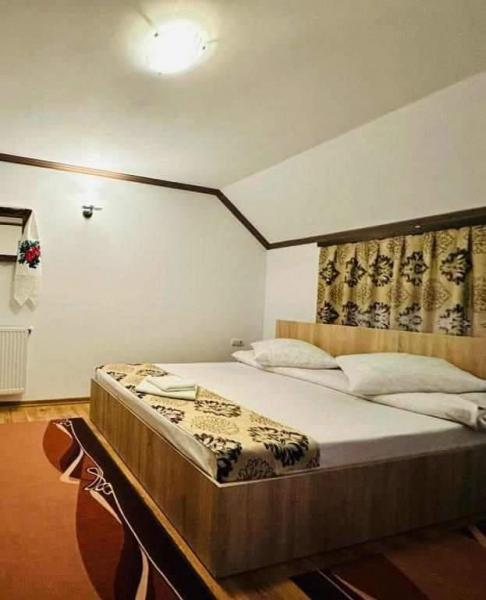 Pension IOANA ANGELICA from Vadu Izei, Maramureș picture 32