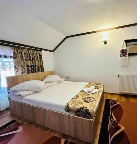 Pension IOANA ANGELICA from Vadu Izei, Maramureș picture 35