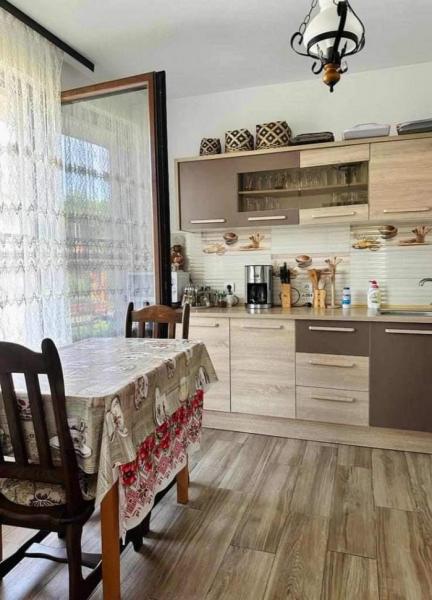 Pension IOANA ANGELICA from Vadu Izei, Maramureș picture 36