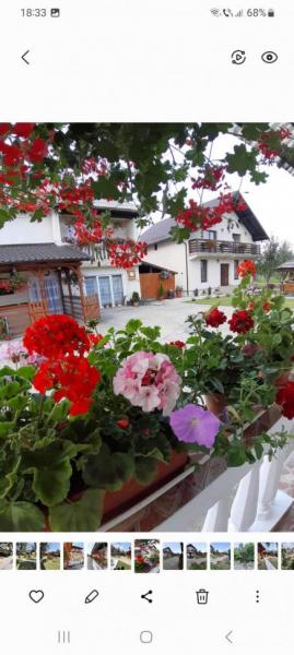 Pension IOANA ANGELICA from Vadu Izei, Maramureș picture 37