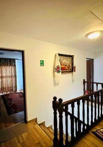 Pension IOANA ANGELICA from Vadu Izei, Maramureș picture 4