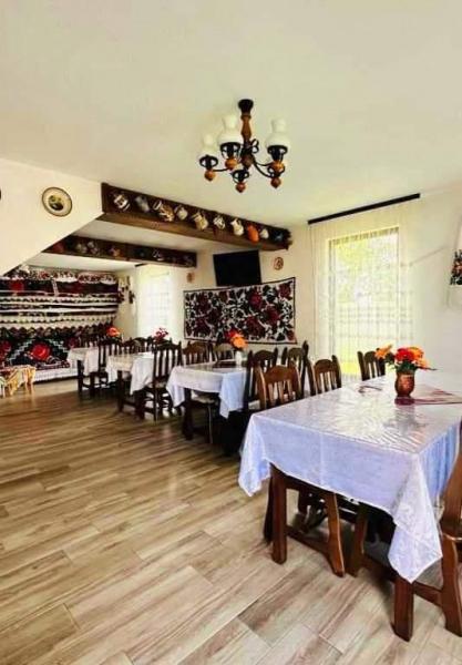 Pension IOANA ANGELICA from Vadu Izei, Maramureș picture 6