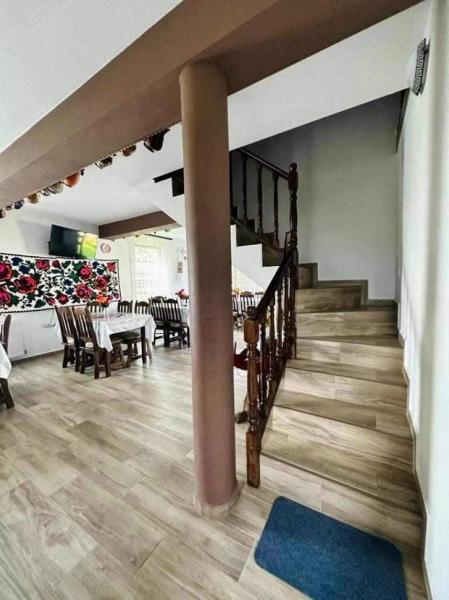 Pension IOANA ANGELICA from Vadu Izei, Maramureș picture 8