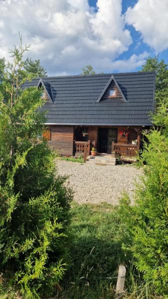 Cabin CABANA SUB ARINI from Budesti, Maramureș picture 16