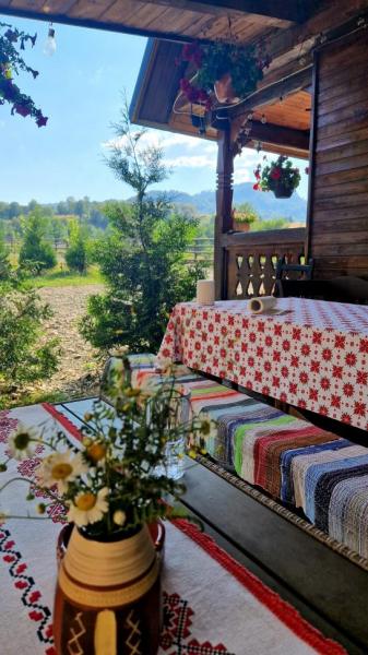 Cabin CABANA SUB ARINI from Budesti, Maramureș picture 17