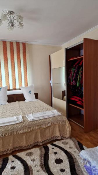 Pension PENSIUNEA MALINUL from Barsana, Maramureș picture 12