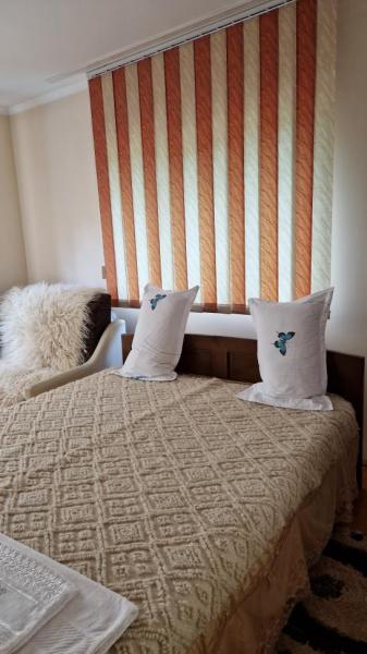 Pension PENSIUNEA MALINUL from Barsana, Maramureș picture 13