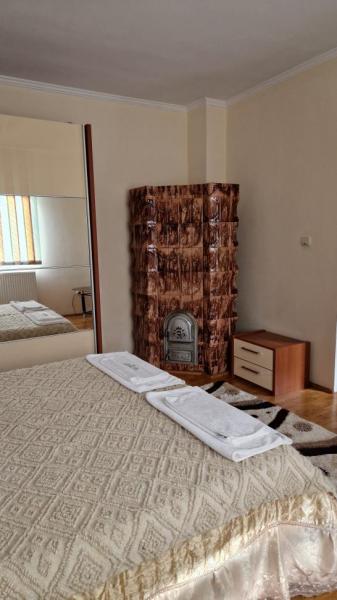 Pension PENSIUNEA MALINUL from Barsana, Maramureș picture 14