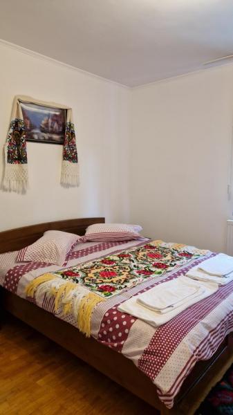 Pension PENSIUNEA MALINUL from Barsana, Maramureș picture 15