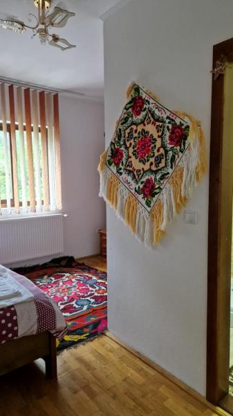 Pension PENSIUNEA MALINUL from Barsana, Maramureș picture 17