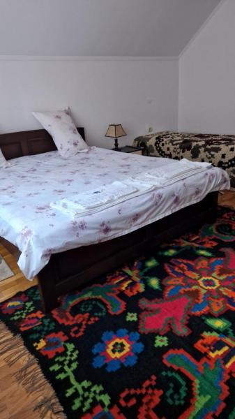 Pension PENSIUNEA MALINUL from Barsana, Maramureș picture 24