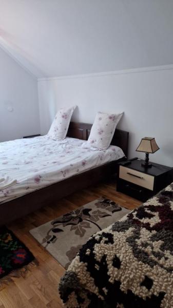 Pension PENSIUNEA MALINUL from Barsana, Maramureș picture 25