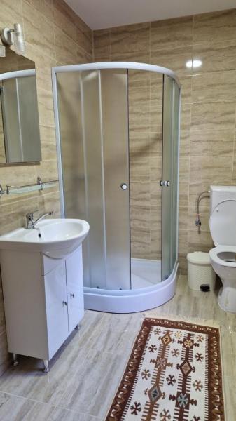 Pension PENSIUNEA MALINUL from Barsana, Maramureș picture 26