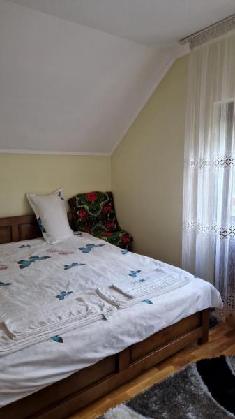 Pension PENSIUNEA MALINUL from Barsana, Maramureș picture 27