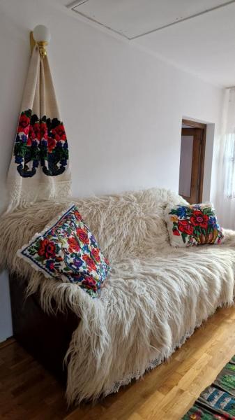 Pension PENSIUNEA MALINUL from Barsana, Maramureș picture 28