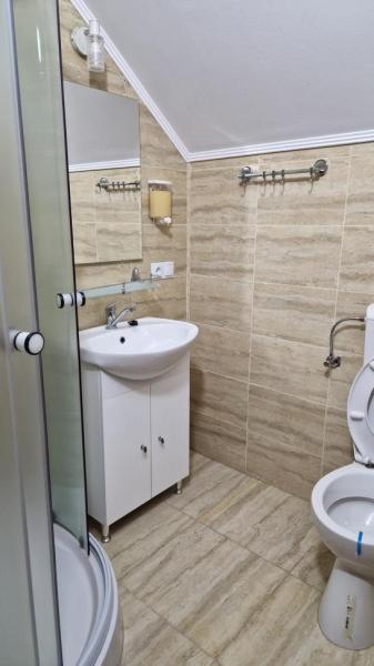 Pension PENSIUNEA MALINUL from Barsana, Maramureș picture 31