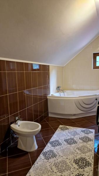 Pension PENSIUNEA MALINUL from Barsana, Maramureș picture 33