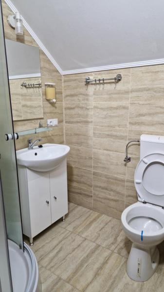 Pension PENSIUNEA MALINUL from Barsana, Maramureș picture 34