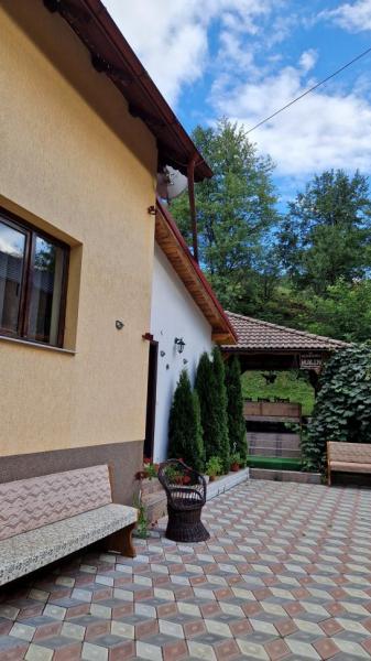 Pension PENSIUNEA MALINUL from Barsana, Maramureș picture 37