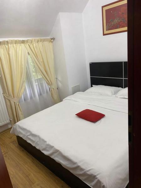 Pension CASA VIO from Borsa, Maramureș picture 11